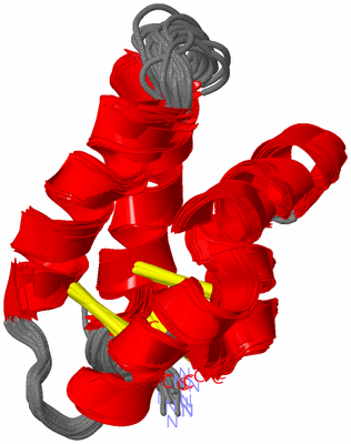 Image NMR Structure - all models