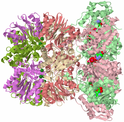 Image Biological Unit 2