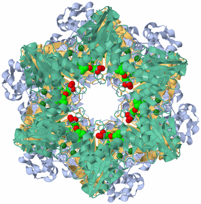 Image Biological Unit 1