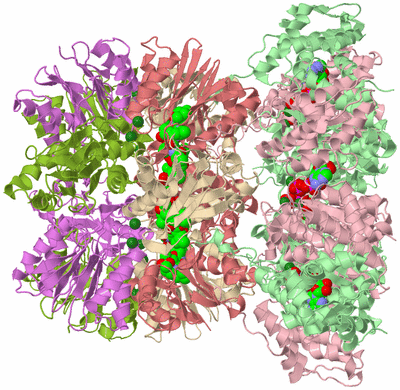 Image Biological Unit 2