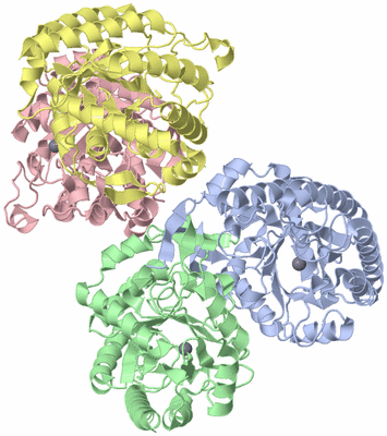Image Asymmetric Unit
