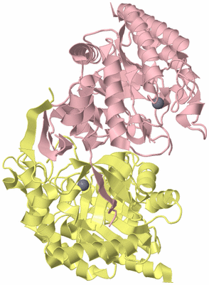 Image Biological Unit 2