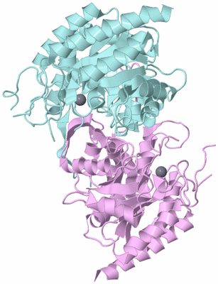 Image Biological Unit 3