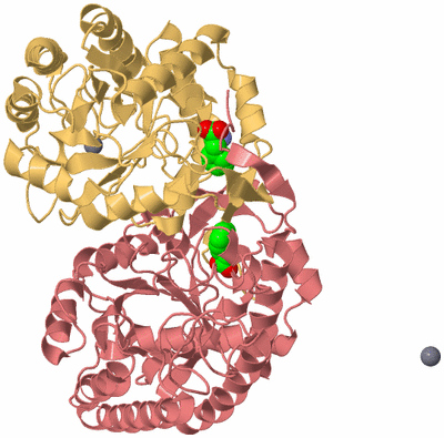 Image Biological Unit 4