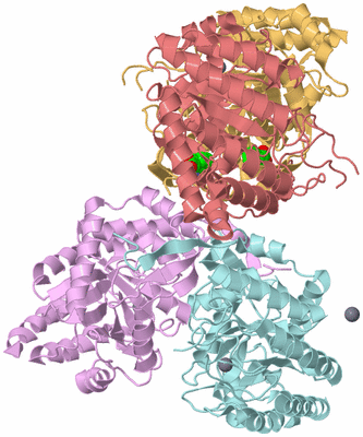 Image Biological Unit 5