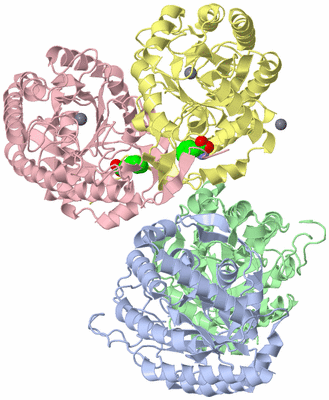 Image Biological Unit 6