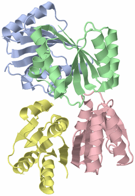 Image Asym./Biol. Unit