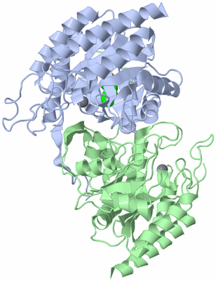 Image Biological Unit 1