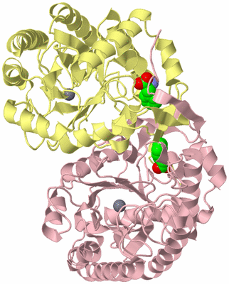 Image Biological Unit 2