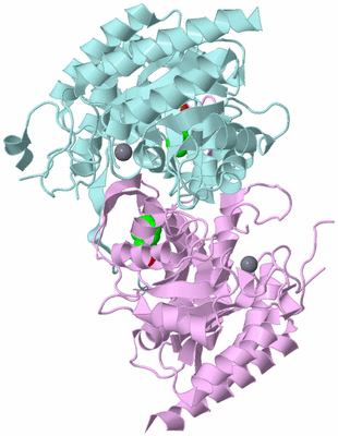 Image Biological Unit 3