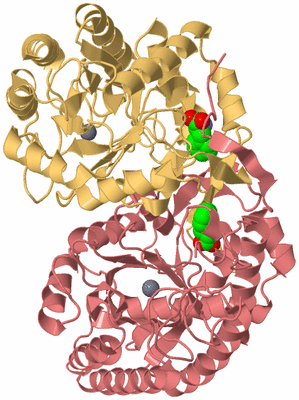 Image Biological Unit 4