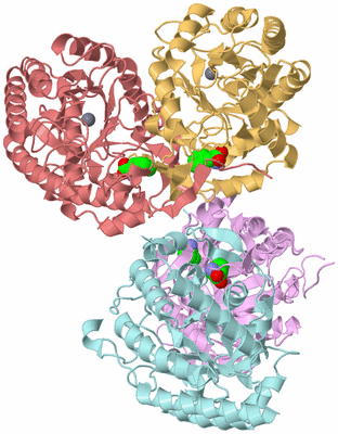 Image Biological Unit 5
