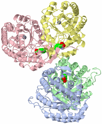 Image Biological Unit 6