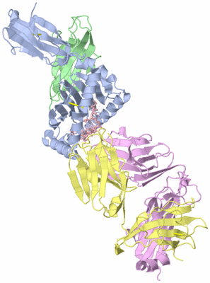 Image Asym./Biol. Unit