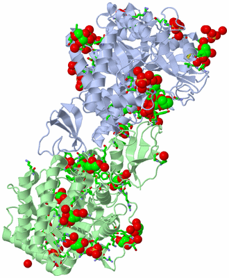 Image Asym./Biol. Unit - sites