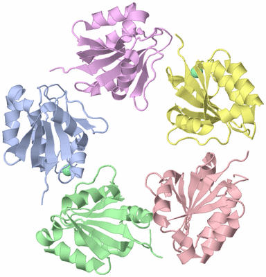 Image Asymmetric Unit