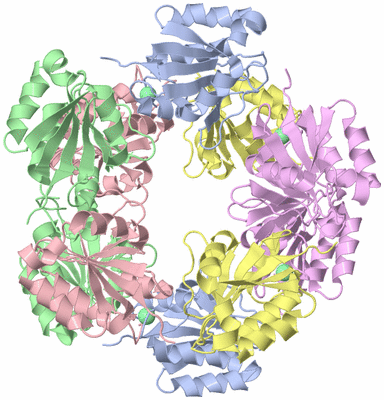 Image Biological Unit 1