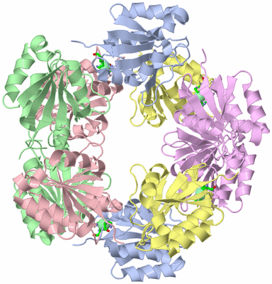 Image Biol. Unit 1 - sites