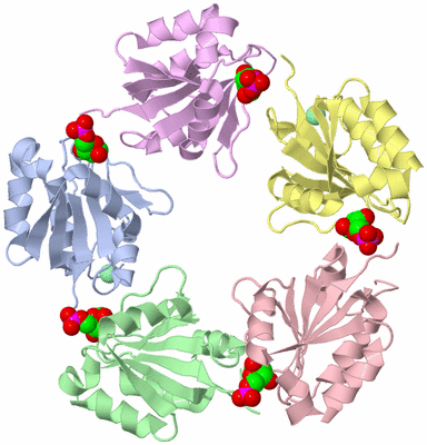 Image Asymmetric Unit