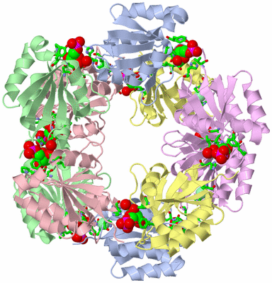 Image Biol. Unit 1 - sites