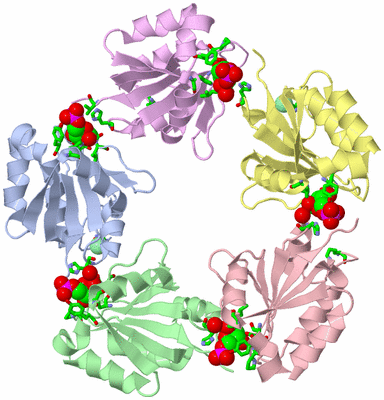 Image Asym. Unit - sites
