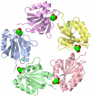 Image Asymmetric Unit