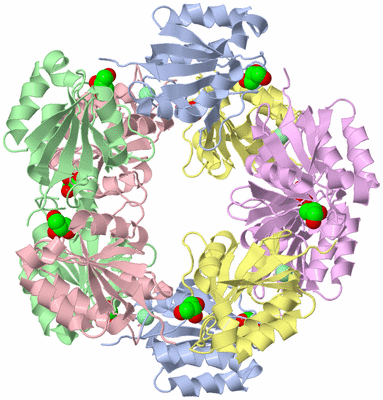 Image Biological Unit 1