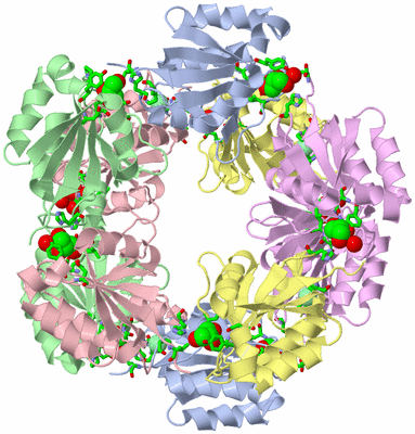 Image Biol. Unit 1 - sites