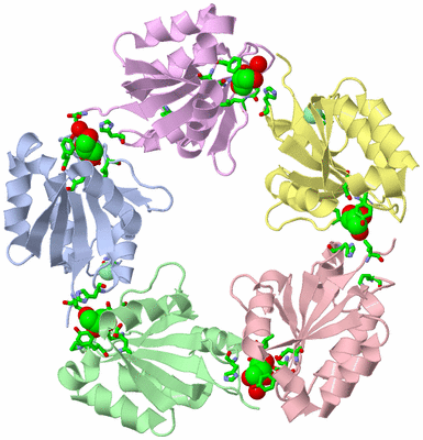 Image Asym. Unit - sites
