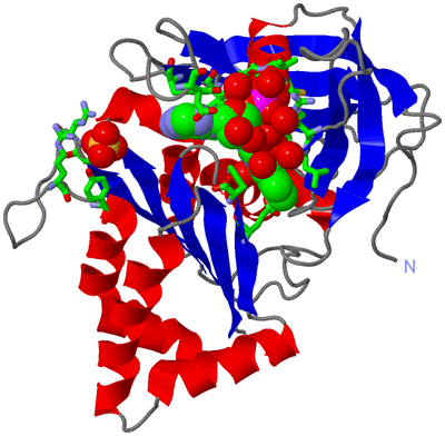 Image Asym./Biol. Unit - sites