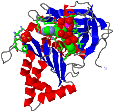 Image Asym./Biol. Unit - sites