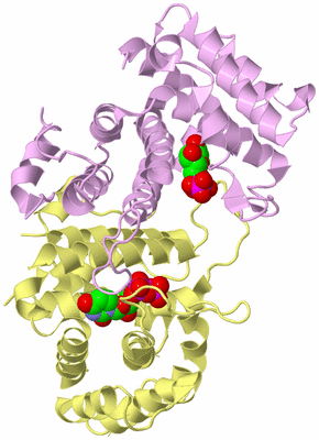 Image Biological Unit 2