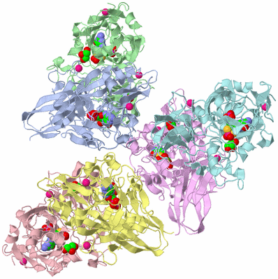 Image Asymmetric Unit