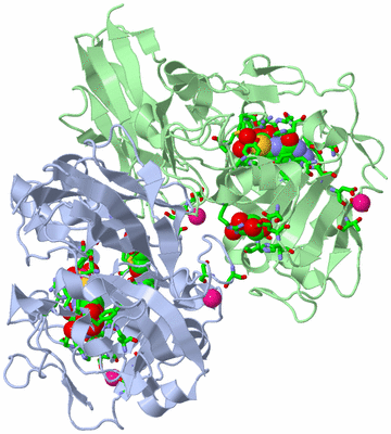 Image Biol. Unit 1 - sites