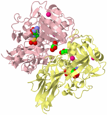Image Biological Unit 2