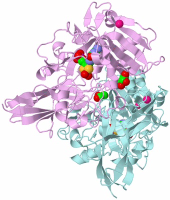 Image Biological Unit 3