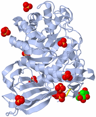 Image Biological Unit 1