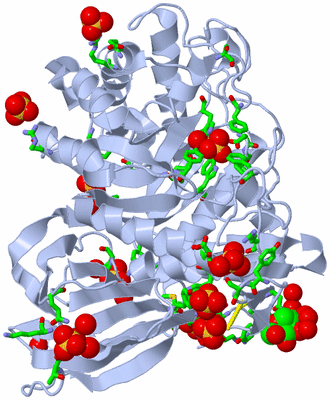 Image Biol. Unit 1 - sites