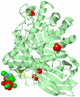 Image Biological Unit 2