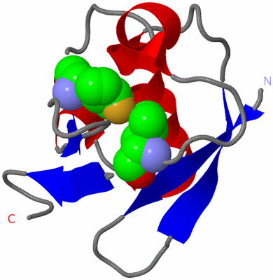 Image Asym./Biol. Unit