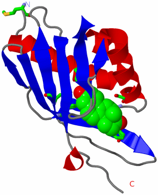 Image Asym. Unit - sites