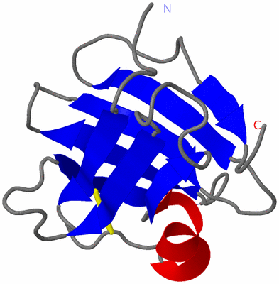 Image NMR Structure - model 1