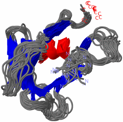 Image NMR Structure - all models