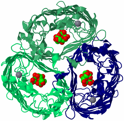 Image Asym./Biol. Unit