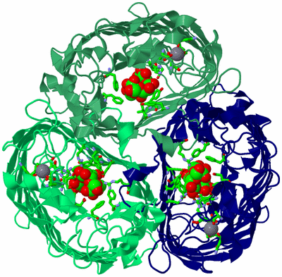 Image Asym./Biol. Unit - sites