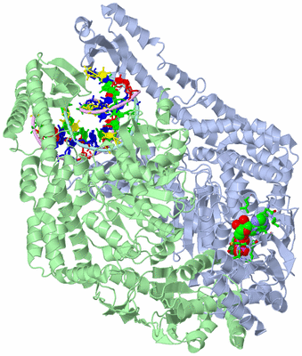 Image Asym./Biol. Unit - sites