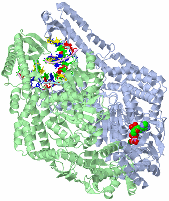 Image Asym./Biol. Unit