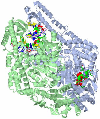 Image Asym./Biol. Unit - sites