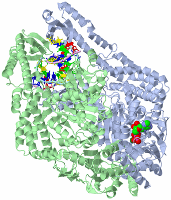 Image Asym./Biol. Unit