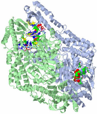 Image Asym./Biol. Unit - sites